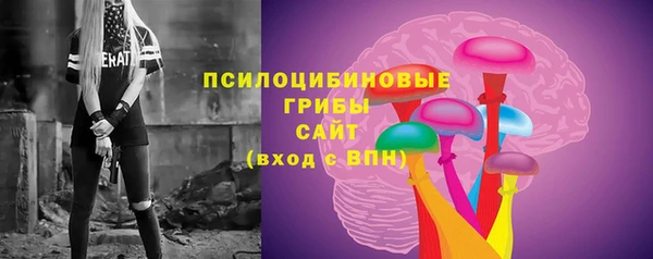 стаф Абдулино